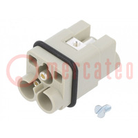 Connector: HDC; contact insert; male; Han Q; PIN: 3; 2P+PE; size 3A