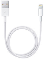 Apple Lightning auf USB-Kabel 0,5m