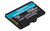 Kingston Technology Scheda microSDXC Canvas Go Plus 170R A2 U3 V30 da 256GB confezione singola senza adattatore