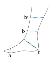 Bort TaloXpress Sprunggelenk- Orthese rechts grau Gr.L