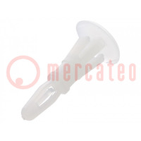 Perno per montaggio; poliamide; Lungh: 9,5mm; clip/clip