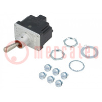 Switch: toggle; Pos: 2; DPST; (OFF)-ON; 6A/230VAC; 18A/28VDC; TL
