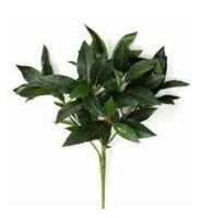 Artificial Silk Bay Leaf Spray IFR - 50cm, Two Tone Green 74 Leaves