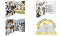 HERMA Ringbuch "Animals" - Hunde, DIN A4, 2-Ring-Mechanik (6504158)