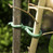 Baumanbinder geschäumt 10m grün