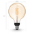 Philips 1-pack G125 E27 Globe met zichtbare gloeidraad