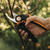 Fiskars M P921 pruning shears Bypass Black, Orange