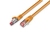 Wirewin S/FTP CAT6 0.25m Netzwerkkabel Orange 0,25 m