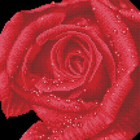 Diamond Painting Kit: Rose Dew