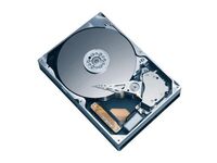 Caviar 250GB 7200 RPM **Refurbished** 8MB Cache SATA 3.0Gb/s 3.5" Hard Drive Bare Drive Festplatten