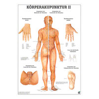 Körperakupunktur II Mini-Poster Anatomie 34x24 cm medizinische Lehrmittel, Nicht Laminiert