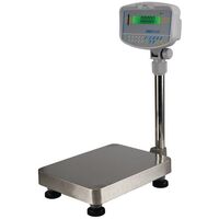 Floor check weighing scales, 600kg x 50.0g