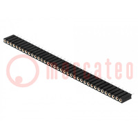 Socket; pin strips; female; PIN: 36; turned contacts; straight