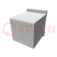 Contactor: 3-pole; NO x3; Auxiliary contacts: NC; 12VDC; 6A; BG