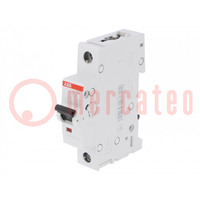 Installatieautomaat; 230VAC; Inom: 6A; Polen: 1; op DIN-rail; 6kA