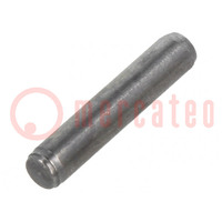 Perno distanziale cilindrico; acciaio; BN 1208; Ø: 2mm; L: 10mm