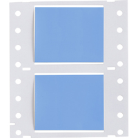 Brady 2HT-1000-2-BL-S printer label Blue Self-adhesive printer label