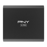 PNY X-PRO 500 GB Schwarz