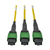 Tripp Lite Casete Multiconector de fibra 8.3 / 125 con Cables MTP incorporados, 40 GB a 10 GB, (x3) 8 Fibras MTP / MPO Monomodo a (x12) LC Duplex