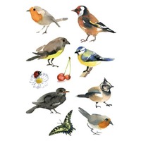 Sticker Aquarell Vögel, 30 Stück HERMA 3351