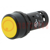 Switch: push-button; 22mm; Stabl.pos: 1; NO; yellow; none; 1A/240VAC