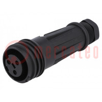 Connector: circular; plug; female; PIN: 3; Buccaneer 900; for cable