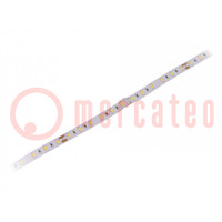 LED strips; neutraal wit; 5630; 24V; LED/m: 60; 12mm; witte PCB