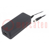 Power supply: switched-mode; 12VDC; 2A; Out: 5,5/2,1; 24W; 0÷60°C