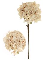 Artificial Dried Touch Ruffled Hydrangea - 52cm, Oyster