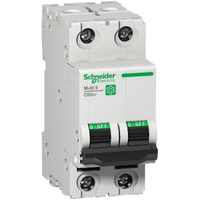 Schneider Electric C60SP coupe-circuits 2P