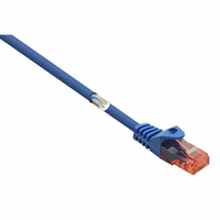 Renkforce RF-5043876 Netzwerkkabel Blau 1 m Cat6 U/UTP (UTP)