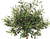 Botanic-Haus 162760-809 Künstliche Pflanze Künstlicher Baum