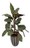 Kunstplant Galatea Cebra, een natuurlijke sfeer bij u thuis, ideaal om te decoreren, onderhoudsvriendelijk, hoogste kwaliteit en mooie afwerking