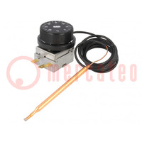 Capteur: thermostat avec capillaire; SPDT; 10A; 400VAC; ±4°C; BT