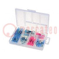 Kit: connecteurs; serrage; sous isolant thermorétractable; 42pc