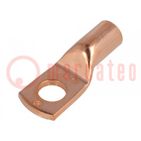 Terminal: anillo tubular; M10; 35mm2; crimpados; para conducto