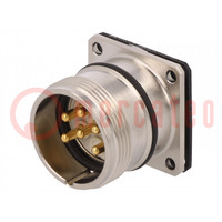 Connector: M23; socket; 623; male; PIN: 6; unshielded; gold-plated