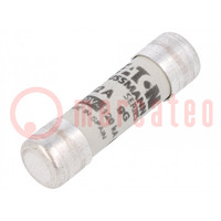 Fuse: fuse; gG; 32A; 400VAC; ceramic,cylindrical,industrial