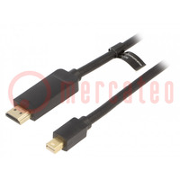 Kábel; HDMI dugó,mini DisplayPort dugó; PVC; Hossz: 3m; fekete
