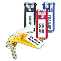 KEY TAGS FOR LOCKING KEY CABINETS, PLASTIC, 1 1/8 X 2 3/4, ASSORTED, 24/PACK DURABLE 194900