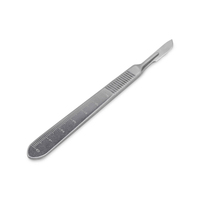 Bernstein-Werkzeugfabrik Steinrücke 2-102-1 surgical scalpel Straight