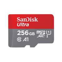 SanDisk Ultra microSD 256 Go MicroSDXC UHS-I Classe 10