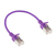 ACT DC7352 cable de red Púrpura 0,25 m Cat6a U/FTP (STP)