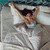 Relaxdays Bettdecke, 4 Jahreszeiten Decke, Ökotex Standard 100, Polyester, Schlafdecke Sommer & Winter, Größenwahl, weiß
