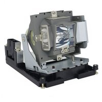 BENQ W1000 Beamerlamp Module (Bevat Originele Lamp)