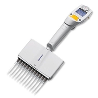 Mehrkanal-Pipette Eppendorf Xplorer® 12-Kanal 15-300 µl