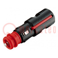 Cigarette lighter plug; screw terminal; 8A; Sup.volt: 12÷24VDC