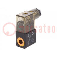 Coil for solenoid valve; IP65; 4.8W; 12VDC; A: 20.8mm; B: 29mm