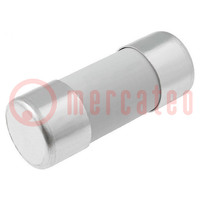 Fuse: fuse; gG; 32A; 690VAC; ceramic,cylindrical,industrial