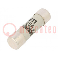 Fuse: fuse; gG; 25A; 690VAC; cylindrical,industrial; 14x51mm